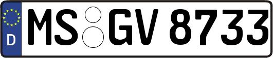 MS-GV8733
