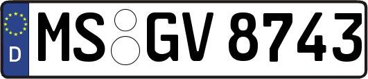 MS-GV8743