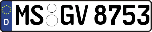 MS-GV8753