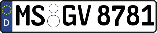 MS-GV8781