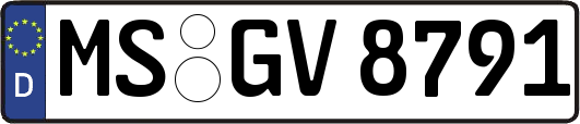 MS-GV8791