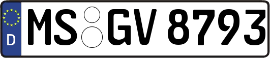 MS-GV8793