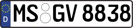 MS-GV8838