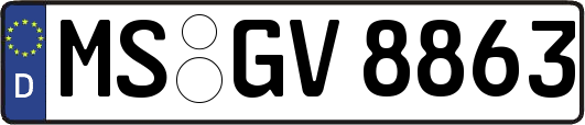 MS-GV8863