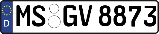 MS-GV8873
