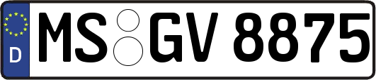 MS-GV8875
