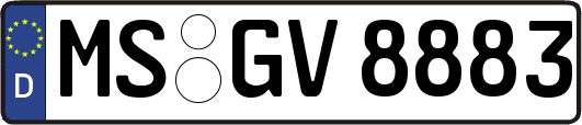MS-GV8883