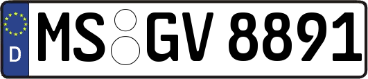 MS-GV8891