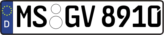 MS-GV8910