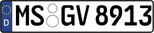 MS-GV8913