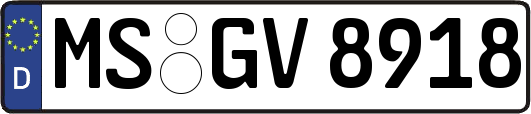 MS-GV8918