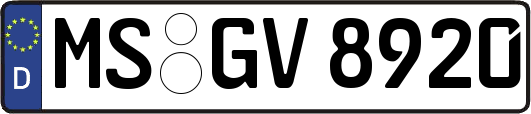 MS-GV8920