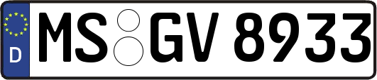 MS-GV8933