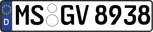 MS-GV8938