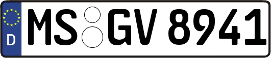 MS-GV8941