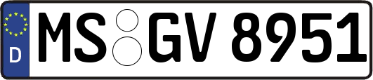 MS-GV8951