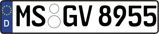 MS-GV8955