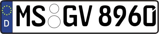 MS-GV8960