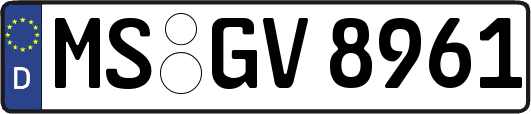MS-GV8961