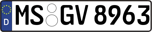 MS-GV8963