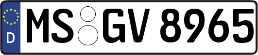 MS-GV8965