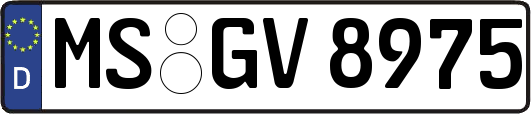 MS-GV8975