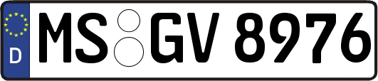 MS-GV8976