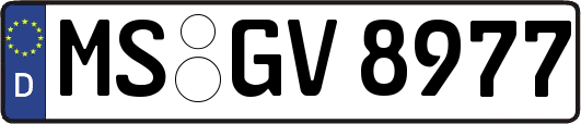 MS-GV8977