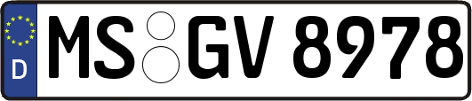 MS-GV8978