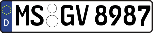 MS-GV8987