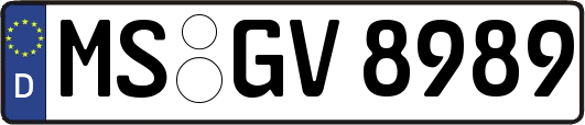 MS-GV8989