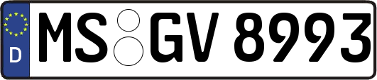MS-GV8993