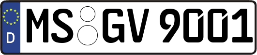 MS-GV9001
