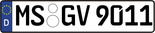 MS-GV9011