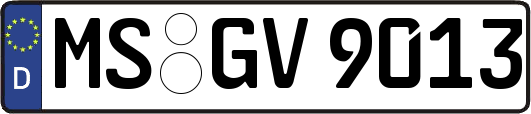 MS-GV9013