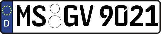 MS-GV9021