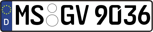 MS-GV9036
