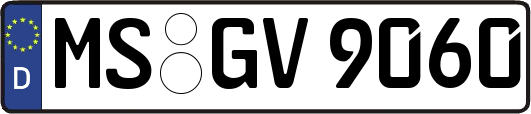 MS-GV9060