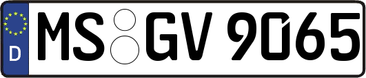 MS-GV9065