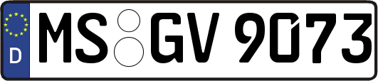 MS-GV9073