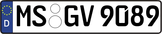 MS-GV9089