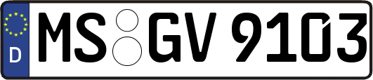 MS-GV9103