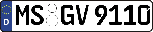 MS-GV9110