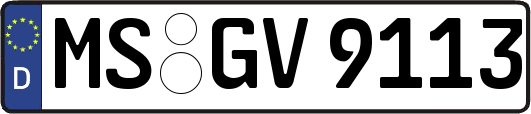 MS-GV9113