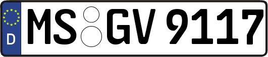 MS-GV9117