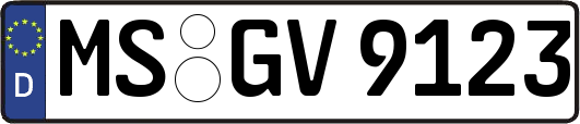 MS-GV9123