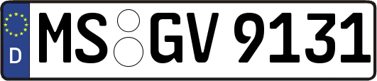 MS-GV9131