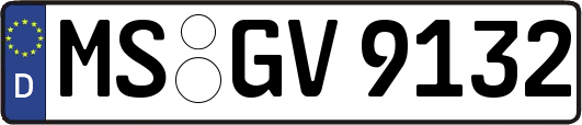 MS-GV9132