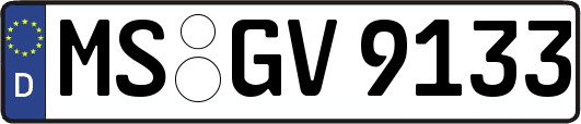 MS-GV9133