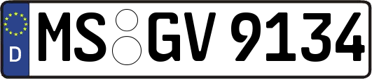 MS-GV9134